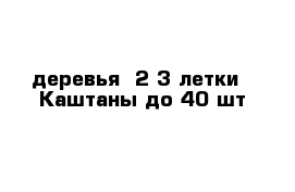 деревья  2-3 летки --Каштаны до 40 шт